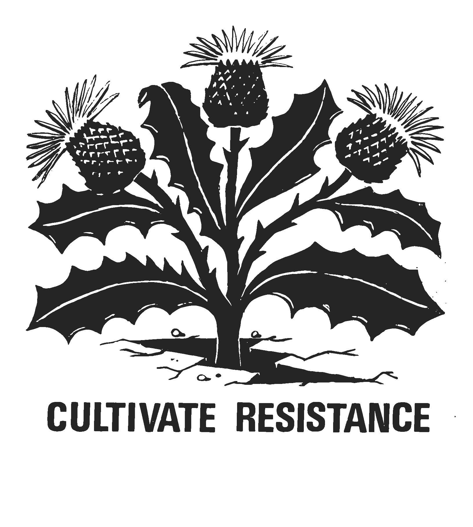 Dandelion growing out of concrete with words that say "Cultivate Resistance"