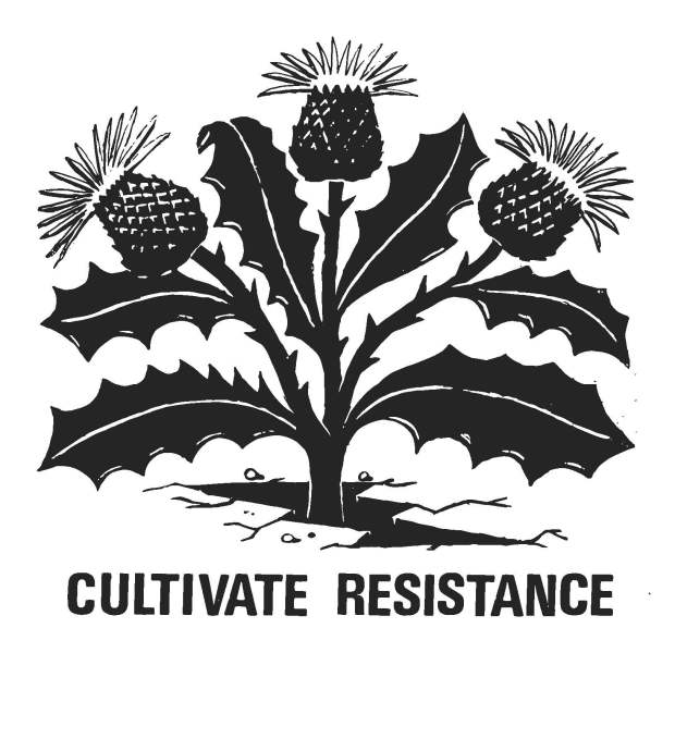 Dandelion growing out of concrete with words that say "Cultivate Resistance"