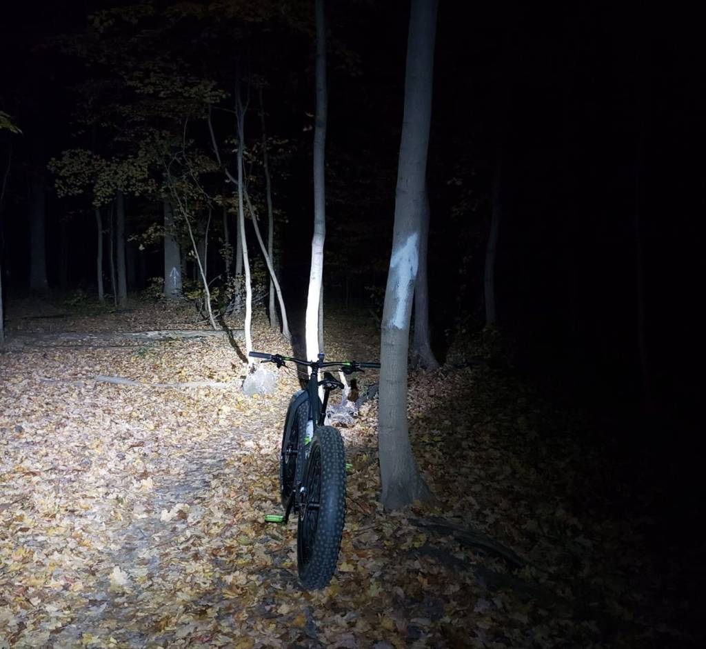 Picture of a bicycle with a light showing a wooded area, leaves on the ground, and darkness beyond.